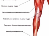 Даже не знаю как