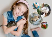 Мама, купи зверька: 20 невероятно милых фото, после которых вы захотите завести домашнюю крыску