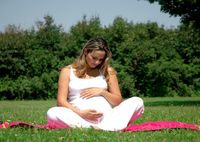 Боровая матка при беременности: можно ли пить на ранних сроках и как принимать