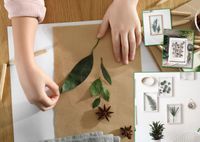 Модный декор своими руками: создаем ботанические картины вместе с ребенком