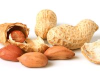 Чем полезен арахис для женщин после сорока-пятидесяти лет