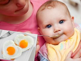 Чтобы не было аллергии: нутрициолог пояснил, яйца каких птиц стоит вводить в прикорм