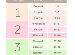 CCbY3_Bjsxw