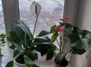 20190403_065003