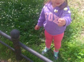 IMG-20190703-WA0026.jpeg