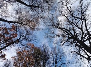 IMG_20191017_162514_751