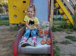 IMG_20200817_185840
