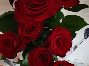 IMG_20190912_185823