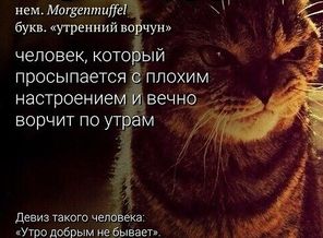 IMG_20190514_075636_061