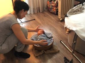 IMG-20190228-WA0027
