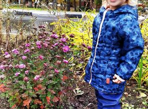 IMG_20191001_131249_723