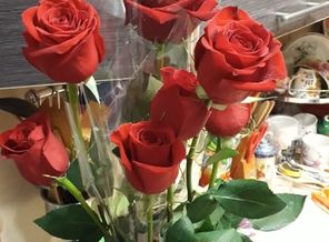 IMG-20190518-WA0005.jpg
