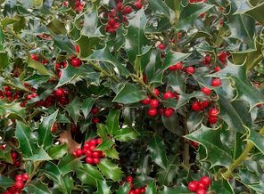 IMG_20191021_114340_070