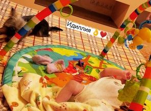 IMG_20200120_152727_308