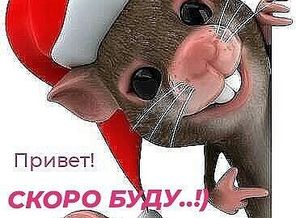 IMG-20191231-WA0027