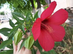 20190713_152419