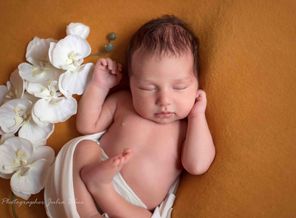 IMG_2585.jpg
