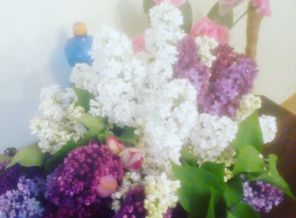 IMG_20200505_145430_772.jpg