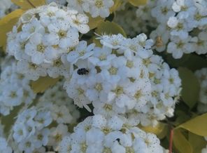 IMG_20190519_170154