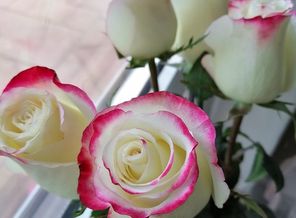 IMG_20200814_131134