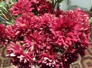 IMG_20191004_180454