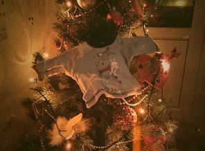 IMG_20191225_224116__2019.12.25-10.56.42