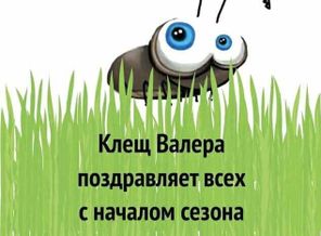 IMG-748f3237fa76b06a062a77cc6430af95-V
