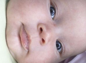 IMG-20200811-WA0034