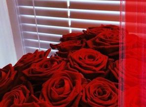 IMG_20200623_094336_820