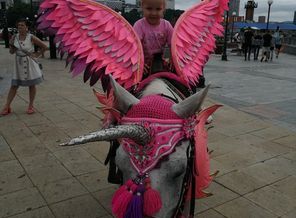 IMG_20200725_151713