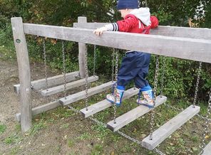 IMG_20191003_133740