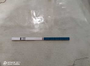 IMG_20200810_072148