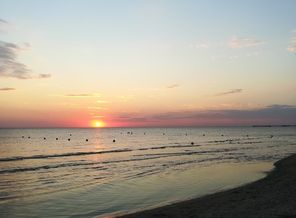 IMG_20200821_191813