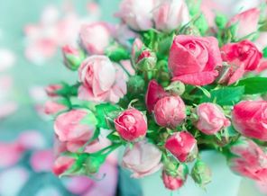 IMG-20190313-WA0007