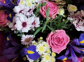 IMG_20200929_145620_561