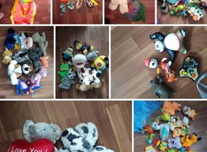 IMG_20190509_134513