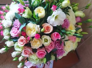 IMG_20191101_142615