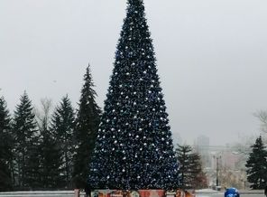 IMG_20210106_013906_882_1610140196332