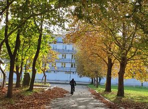 20201108_171143.jpg