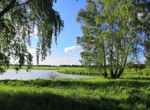 IMG_20190611_184720