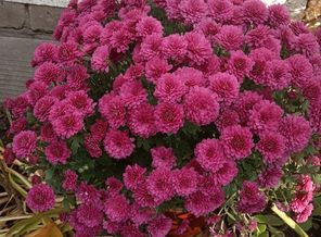 IMG_20191025_145503