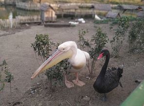 IMG_20200924_173559