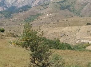 IMG-20190824-WA0011