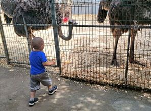 IMG_20200801_154523