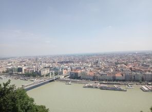IMG_20190626_114222.jpg