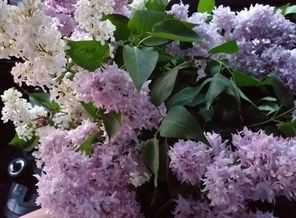 20190513_210827
