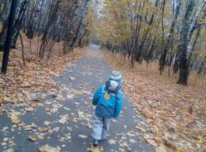 IMG_20191020_114308