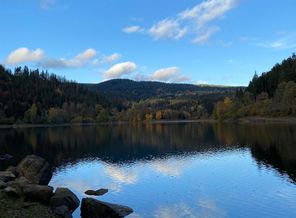 IMG-20201030-WA0009.jpg