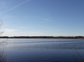 20190226_144534