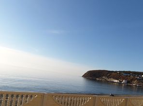20201217_041553.jpg